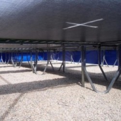 Camas elásticas en batería cuadradas