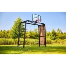 Canasta de baloncesto para BERG Playbase