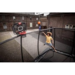 Canasta de baloncesto para camas elásticas BERG Twinhoop