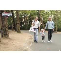 Correa de transporte BERG