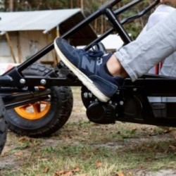 Cuadriciclo eléctrico BERG DUO COASTER E-BFR