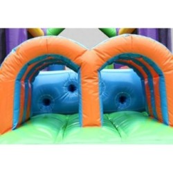 Inflable Aventura