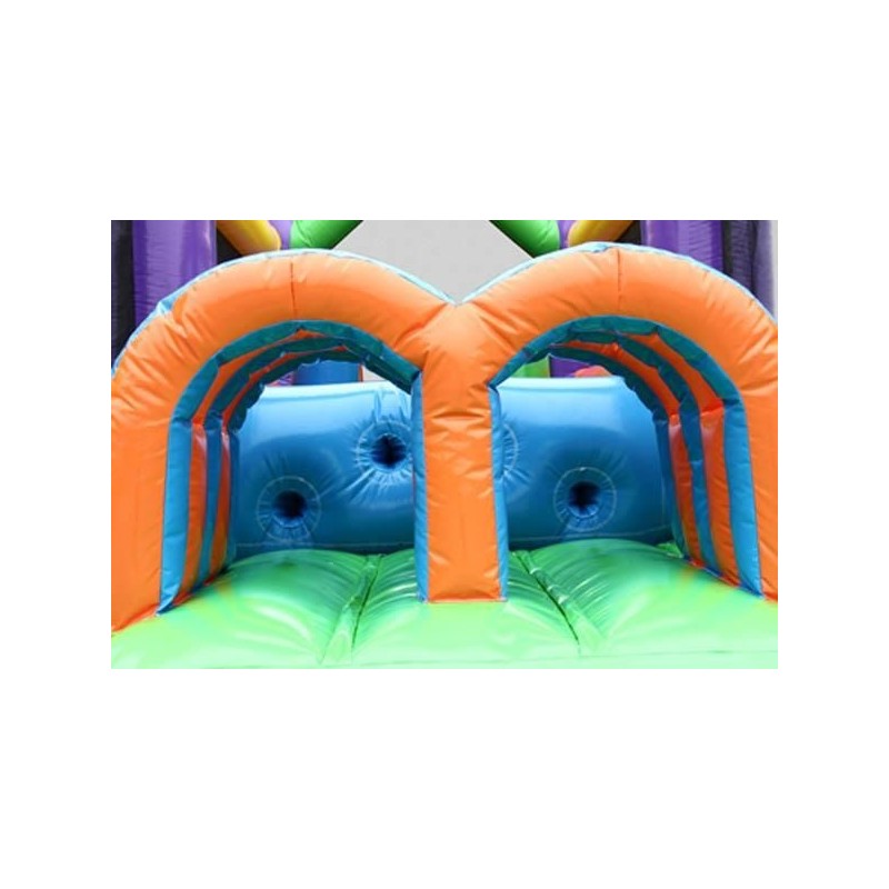 Inflable Aventura