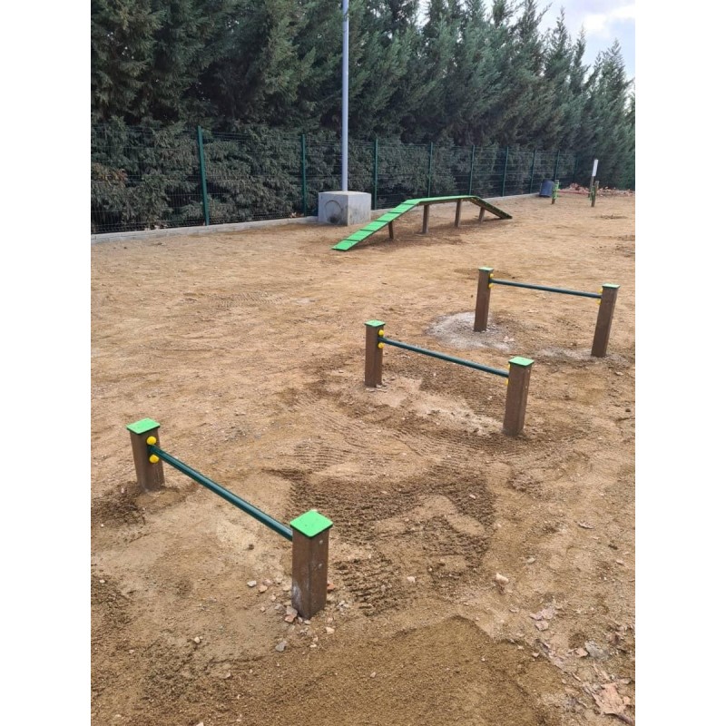 Juego canino Obstáculos