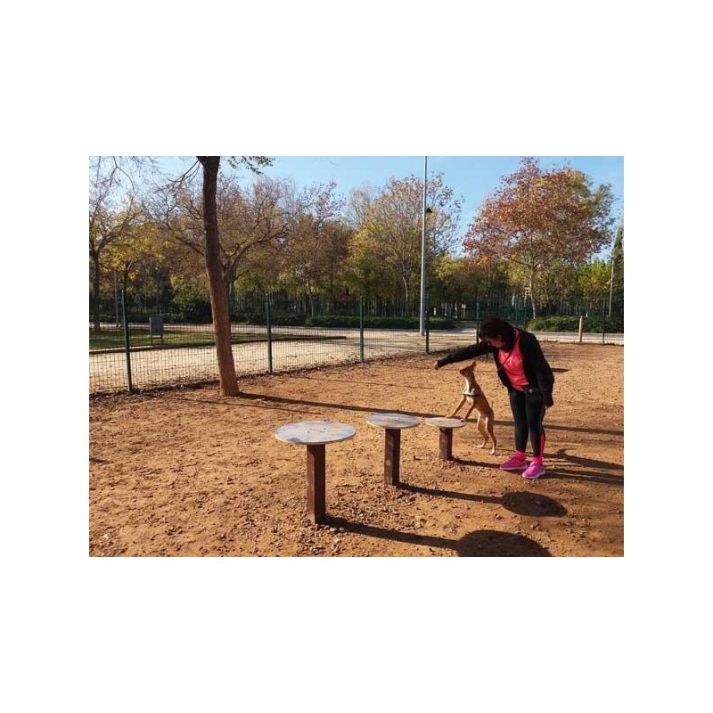 Juego canino Plataformas