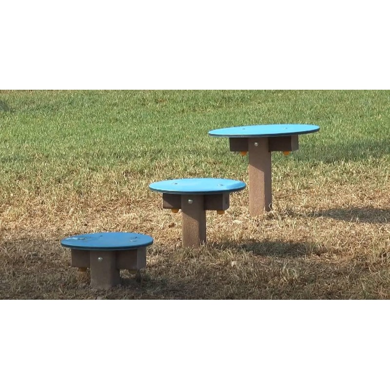 Juego canino Plataformas