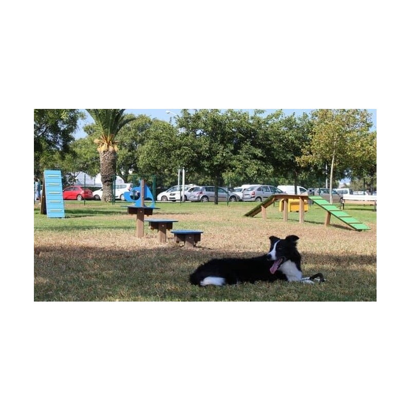 Juego canino Plataformas