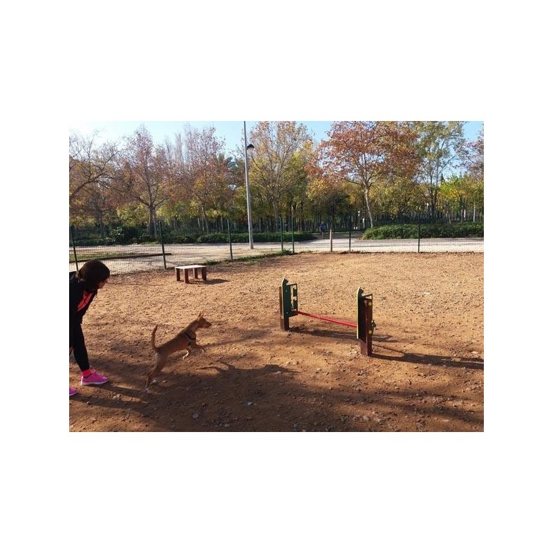 Juego canino Altura