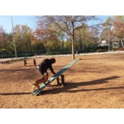 Juego canino Balancín