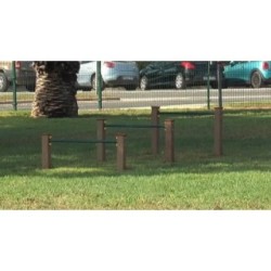 Juego canino Vallas (Determinación)