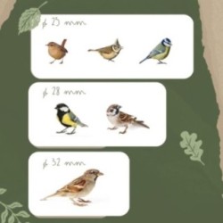 Caja nido para pájaros de madera tratada MASGAMES SPARROW