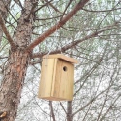 Caja nido para pájaros de madera tratada MASGAMES SPARROW
