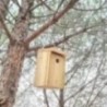 Caja nido para pájaros de madera tratada MASGAMES SPARROW