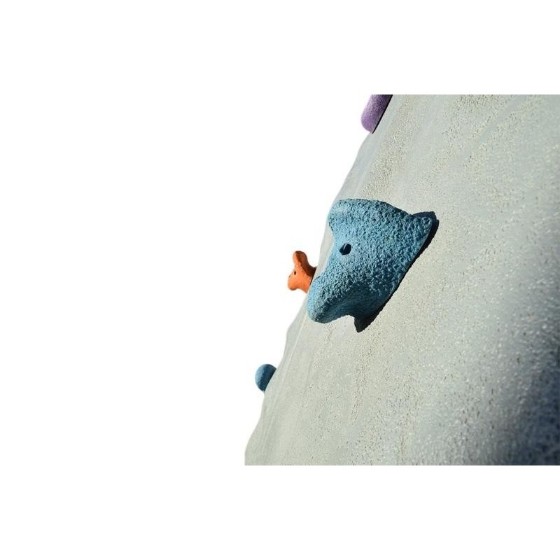 Rocódromo Infantil CAUCAS