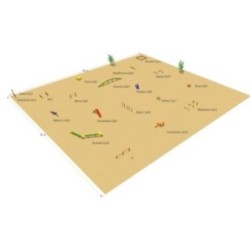 Circuito Canino Completo (19 elementos)