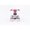 Coche de pedales BERG Buzzy BLOOM