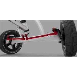 Coche de pedales BERG BUDDY PROF