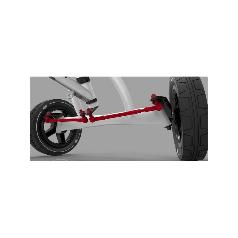 Coche de pedales BERG BUDDY PROF