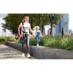 Correa de transporte BERG