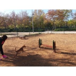 Juego canino Altura