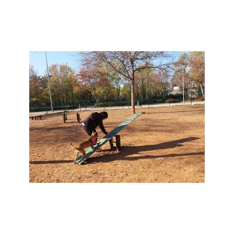 Juego canino Balancín