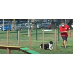 Juego canino Slalom