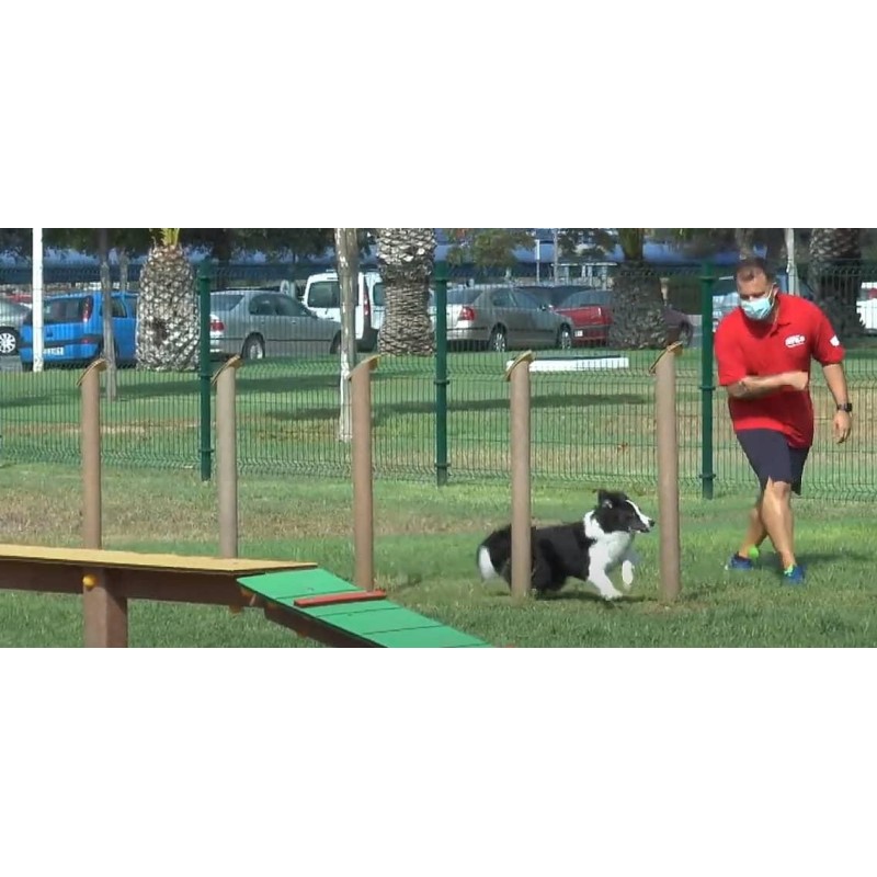 Juego canino Slalom