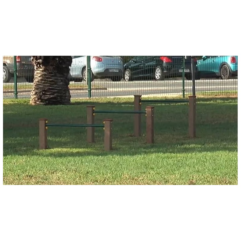 Juego canino Vallas (Determinación)