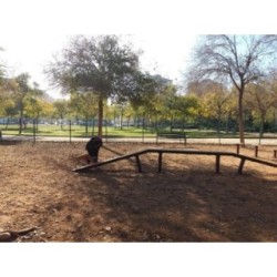 Joc caní Passarel·la