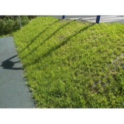 Losetas de caucho para césped