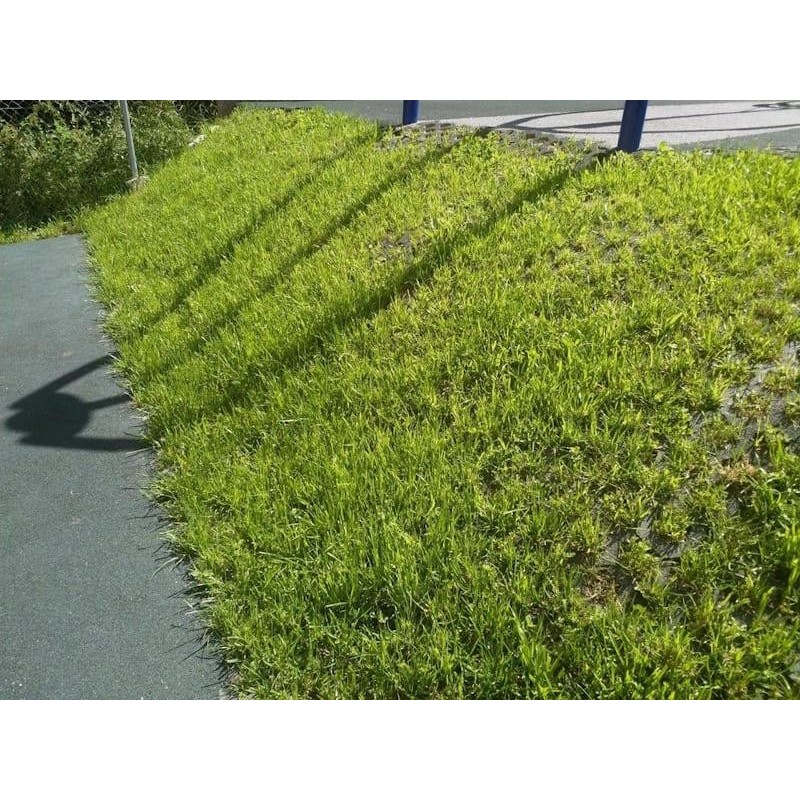 Losetas de caucho para césped