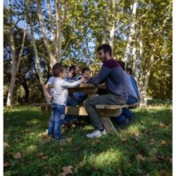 Mesa de picnic MASGAMES MUNICH 240 de madera para exterior