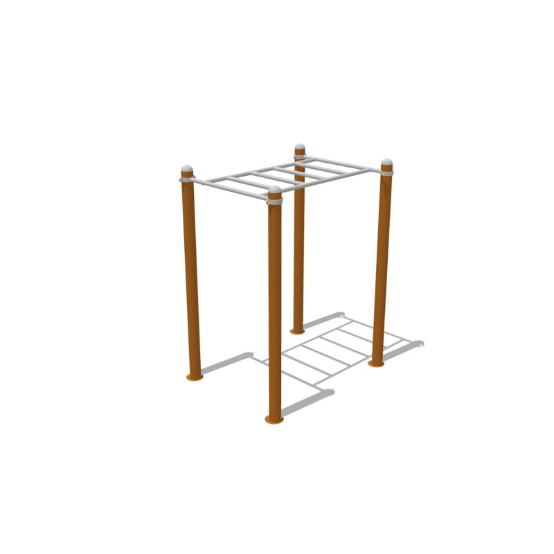 Cal·listènia Escala