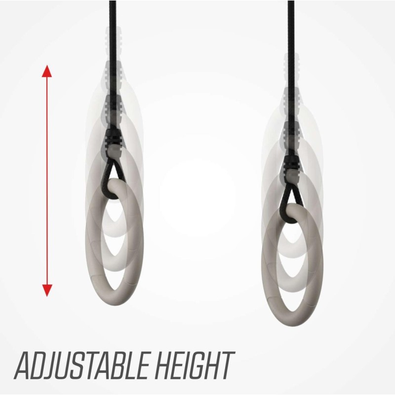 Anillas de gimnasia para BERG Playbase