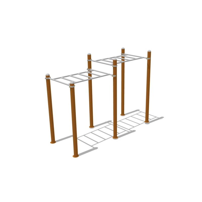 Calistenia Escalera Doble