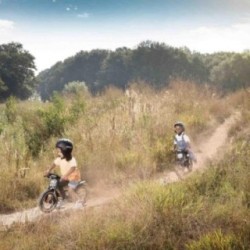 Bici sin pedales BERG BIKY Trail Green con freno de mano