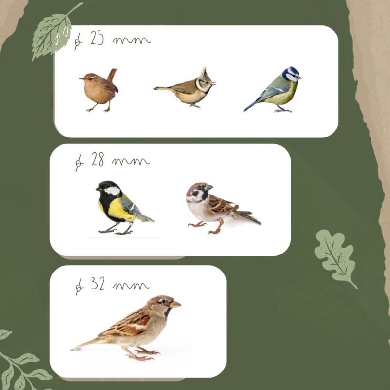 Caja nido para pájaros de madera tratada MASGAMES SPARROW