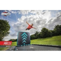 Cama elástica BERG Flatground Ultim Champion 410 + Aerowall